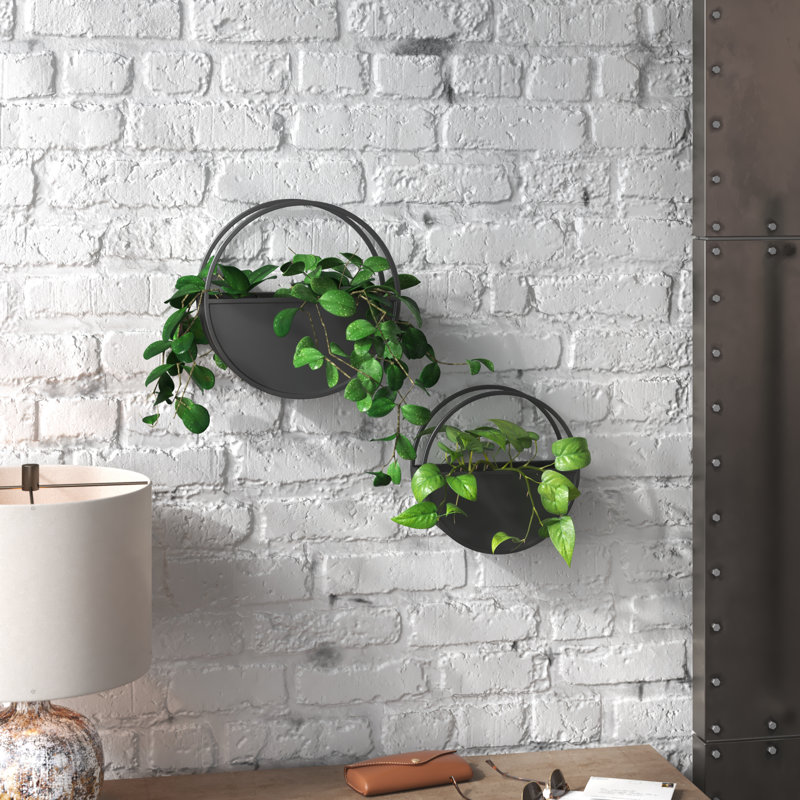 Black Iron Round Wall Planter Set for Indoor Plants