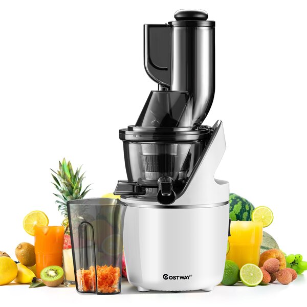 Mueller juice max pro cold press masticating fruit and vegetables