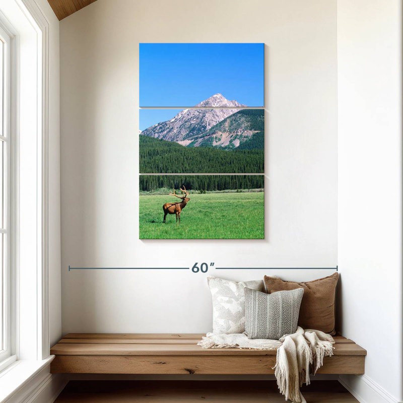 Brampt Coyote Valley Elk, 45" H x 28" W
