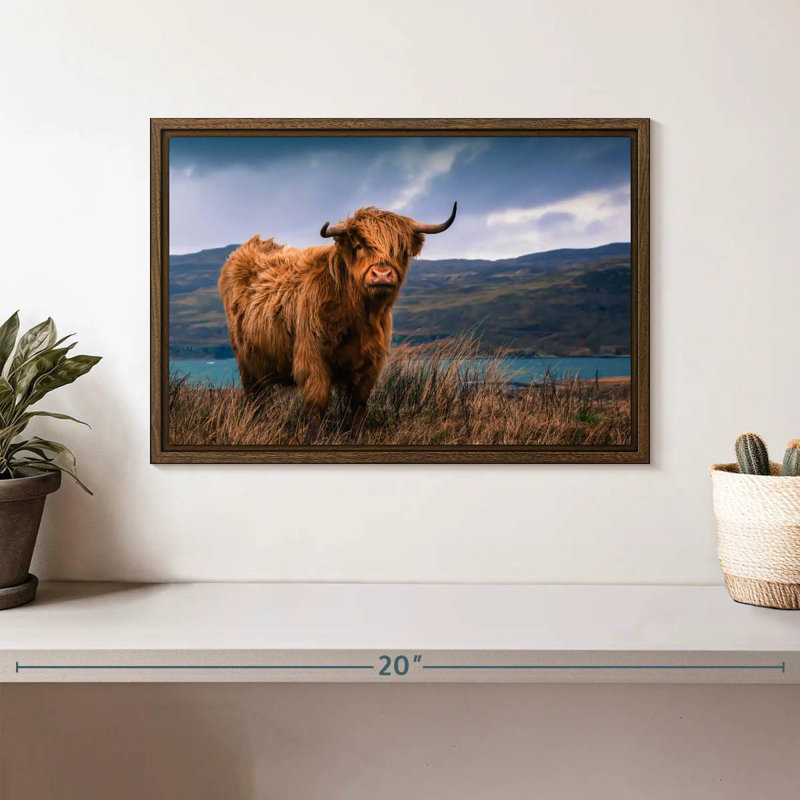 Grande vache Highland, 13 po x 9 po, Cadre flottant en noyer