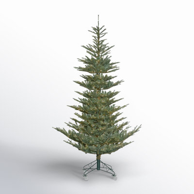 Alberta Blue 6' Pre-Lit Spruce Christmas Tree