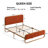 Nelsie Upholstered Platform Bed with Velvet Tufted Headboard-943182622-996180399
