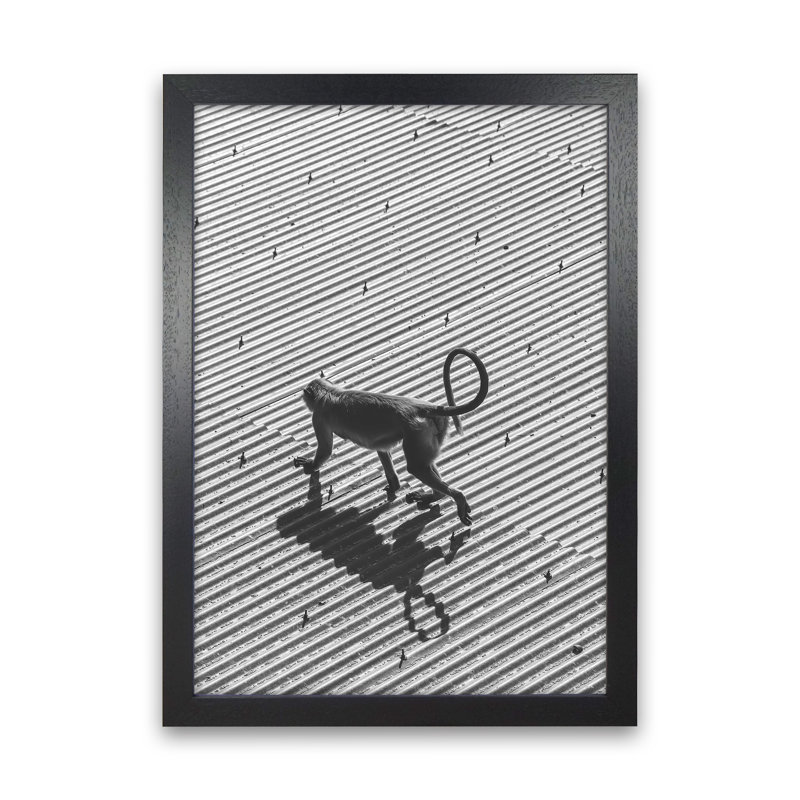 Monkey Buisness by Victoria Frost - Print, Black Framed, 34cm H x 25cm W x 3cm D