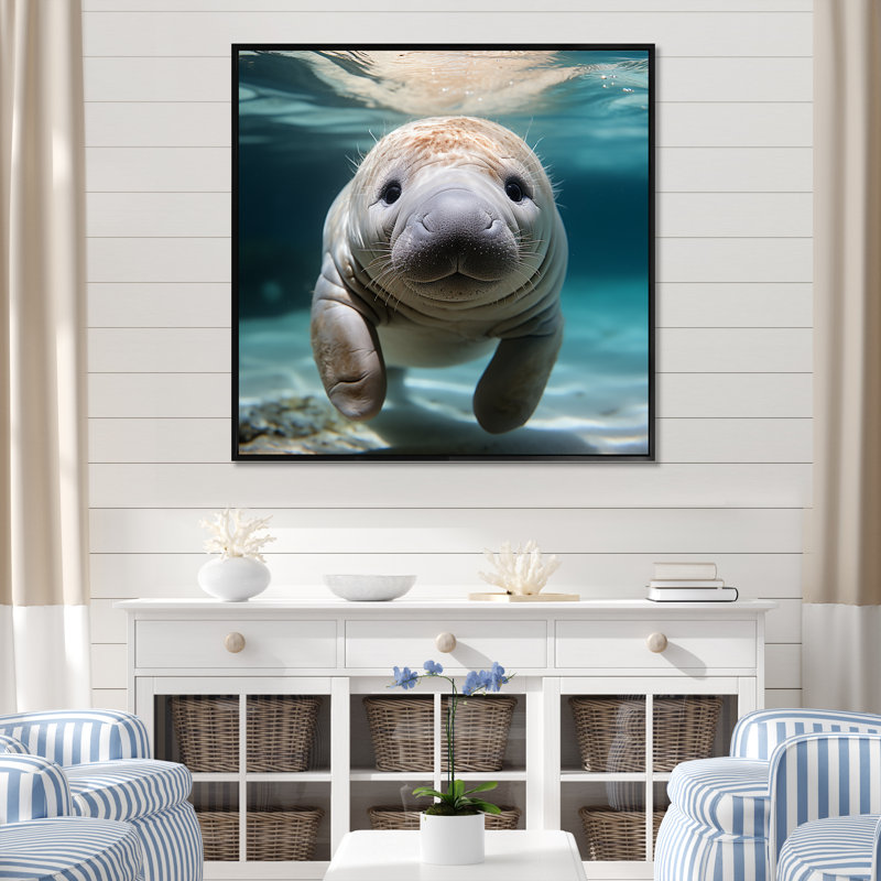 Curious Manatee Gaze III - Art mural lamantin, H 30 po x l 30 po x P 1,5 po, Cadre flottant noir