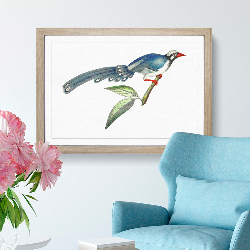 Chinese Cuckoo by George Shaw - Picture Frame Painting Print, 36cm H x 48cm W x 2cm D, Oak Framed