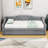 Twin XL Daybed with Trundle and LED-1837734407