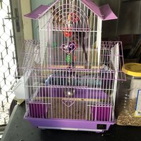 Archie & Oscar™ Higbee 22'' Plastic Pointed Top Hanging Bird Cage with  Perch & Reviews