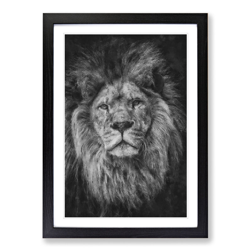 View of a Lion - Framed Print, 36cm H x 27cm W x 2cm D, Black