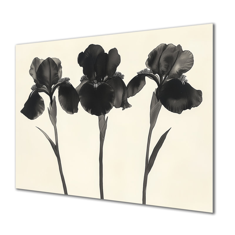 Trio de pétales noirs - Iris - Grande affiche murale en métal, H 34 po x l 44 po