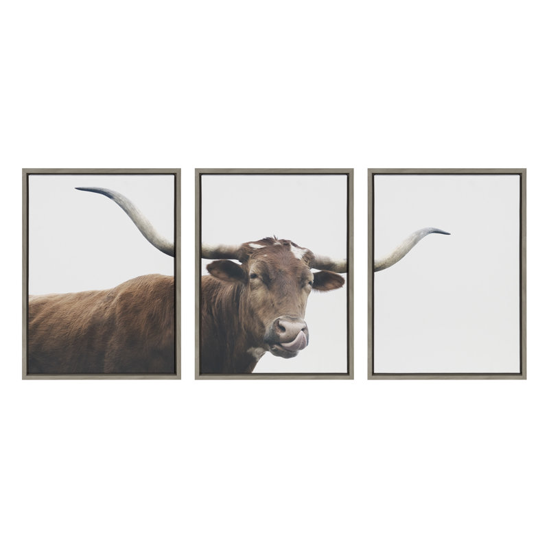 «Texas Longhorn Cow Lick 1 2 3» par The Creative Bunch Studio, ensemble d'art mural sur toile encadrée
