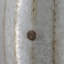 Table d'appoint cylindrique 22,5 x 22,5 x 26 po