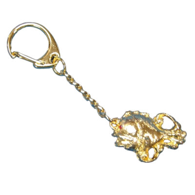 Feng Shui Import 1'' W Gold Key Chain