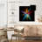 Avery Radial Rainbow