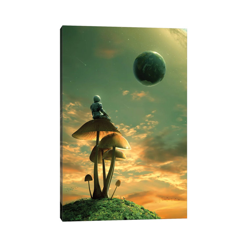 A Trip II by Nicebleed - Gallery-Wrapped Canvas Giclée on Canvas, Wrapped Canvas, 20.32 cm H x 30.48 cm W
