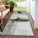 Segin Area Rug