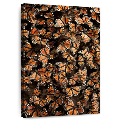 Brampt Monarch Butterfly Madness