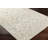 Oriental Indoor Rug-1892252238