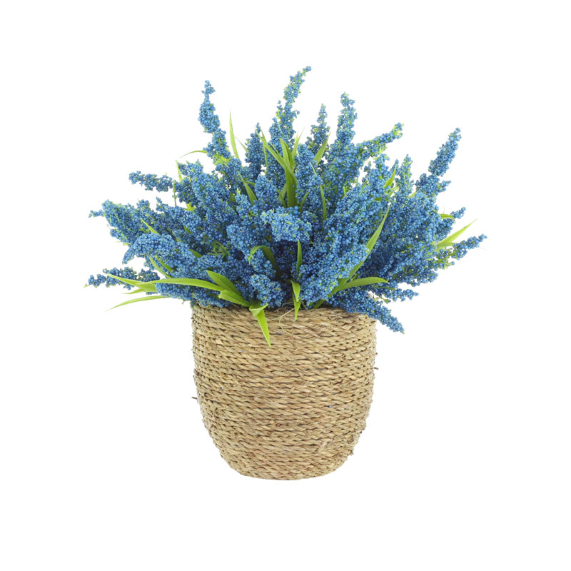 Heather dans un pot de paille, Bleu