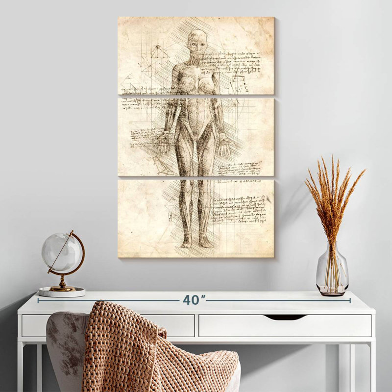 Anatomie féminine Keiri, H 32 po x l 20 po