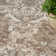 Couey Indoor Rug