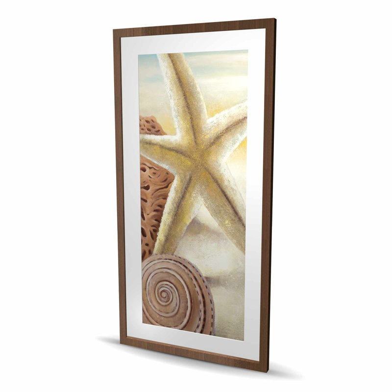 Étoile de mer et coquillages à la plage - reproduction encadrée