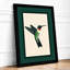Hummingbird in Flight Modern - Framed Print-745210176-745210177