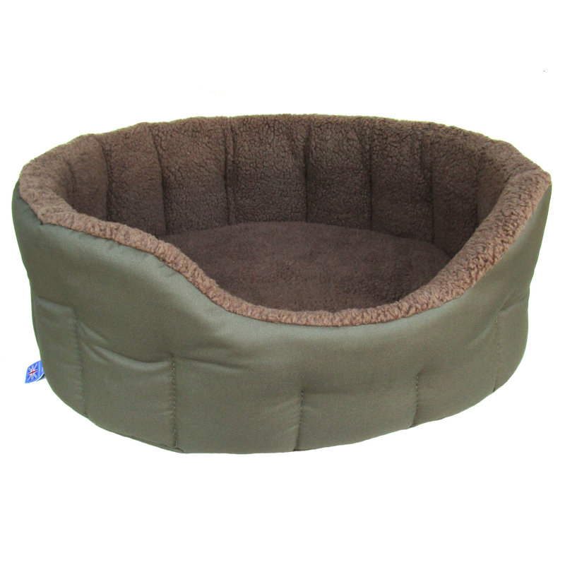Comeau Polyester Pet Bed, Green/Mushroom, 20 H x 51 W x 41 D cm