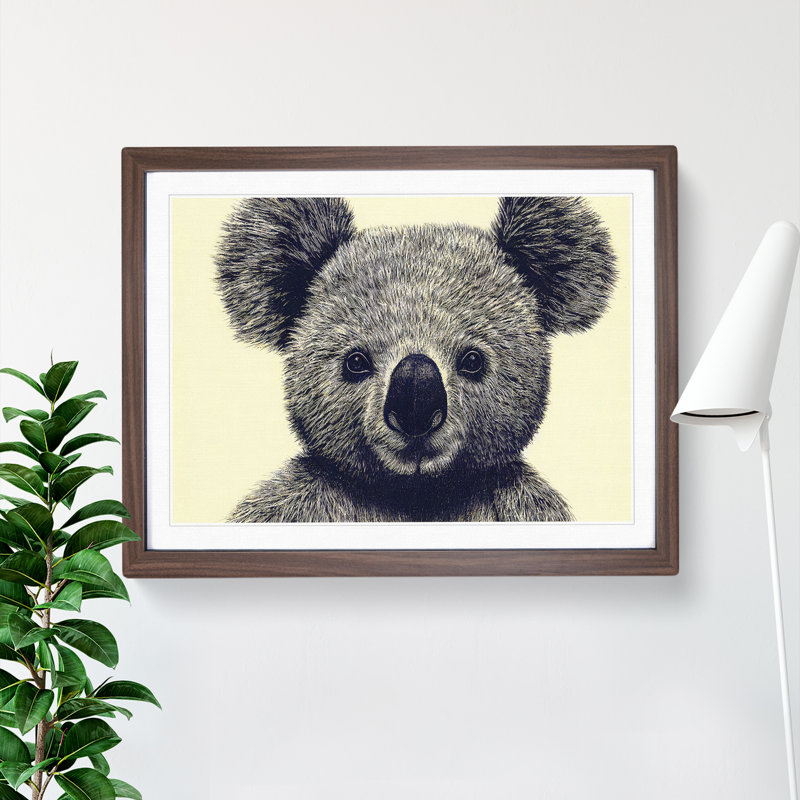 Flawless Koala Bear - Single Picture Frame Print, 25cm H x 34cm W x 2cm D, Walnut