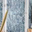 Acropora Wallpaper-61669945