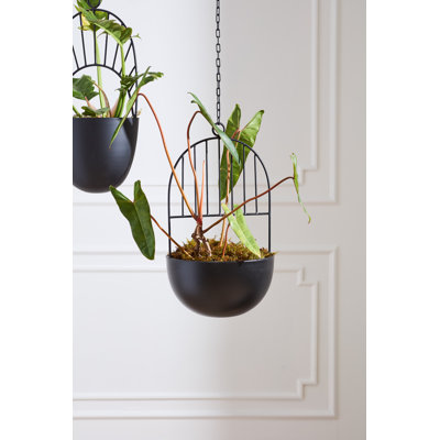 Hestia Hanging Planter 12.25"x 39"
