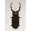 Somoa Farmhouse Animals Wall Decor on Resin