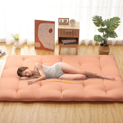 Nasitip Twin/Full size Futon Mattress, Foldable Tatami Mattress Roll Up Floor Bed Mattress for House Guest Camping Dorm by Winston Porter