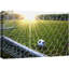 Rayons de soleil sur un terrain de soccer, sportifs, photographie, art moderne, urbain contemporain-98161663