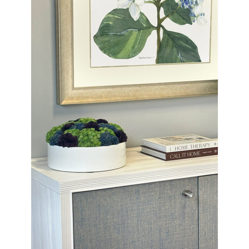 Sedum and Chick Succulent Arrangement