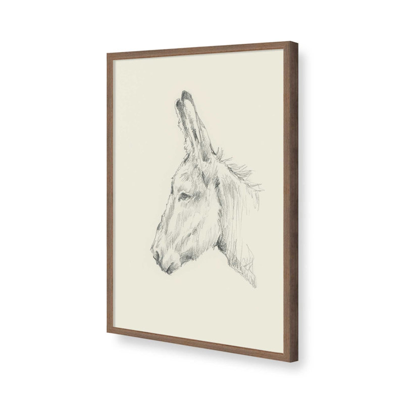 «Donkey Study II» par Ethan Harper, reproduction d'art sur toile, Impression sur cadre ouvert sans papier mat, Brun