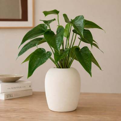 Handmade Ceramic Table Vase