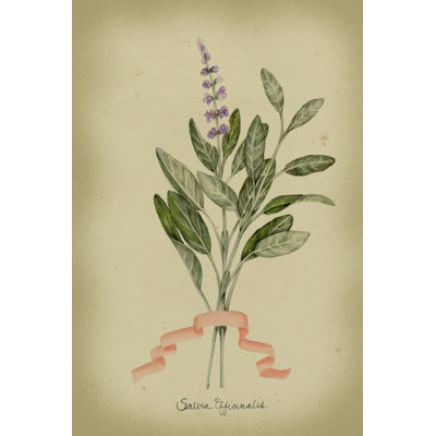 " Herb Series I (EA) " by Jennifer Goldberger