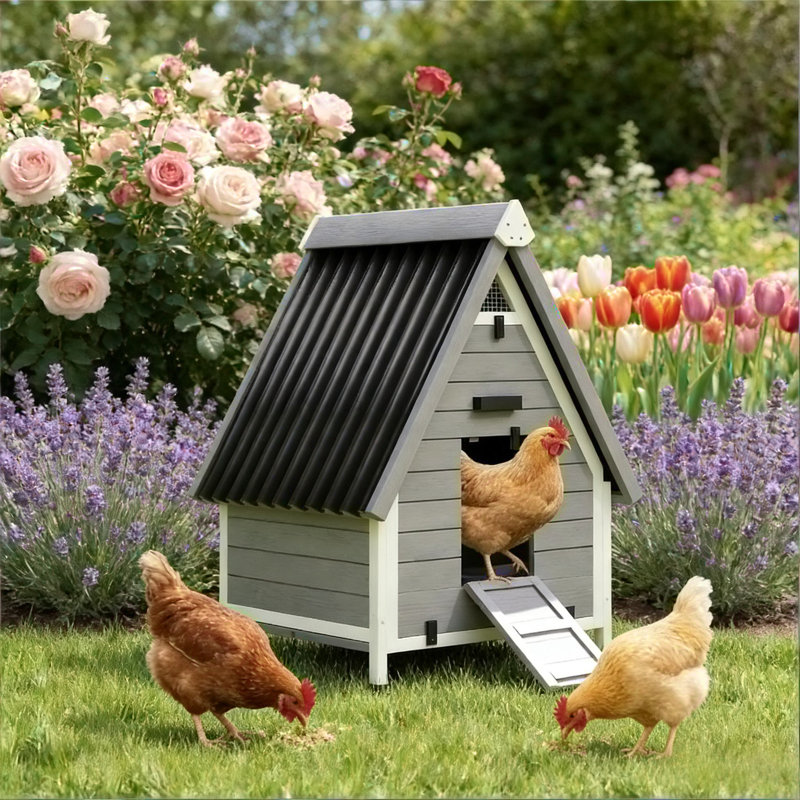 Poulailler en bois