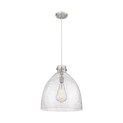 Luminaire suspendu à 1 lumière Badgett