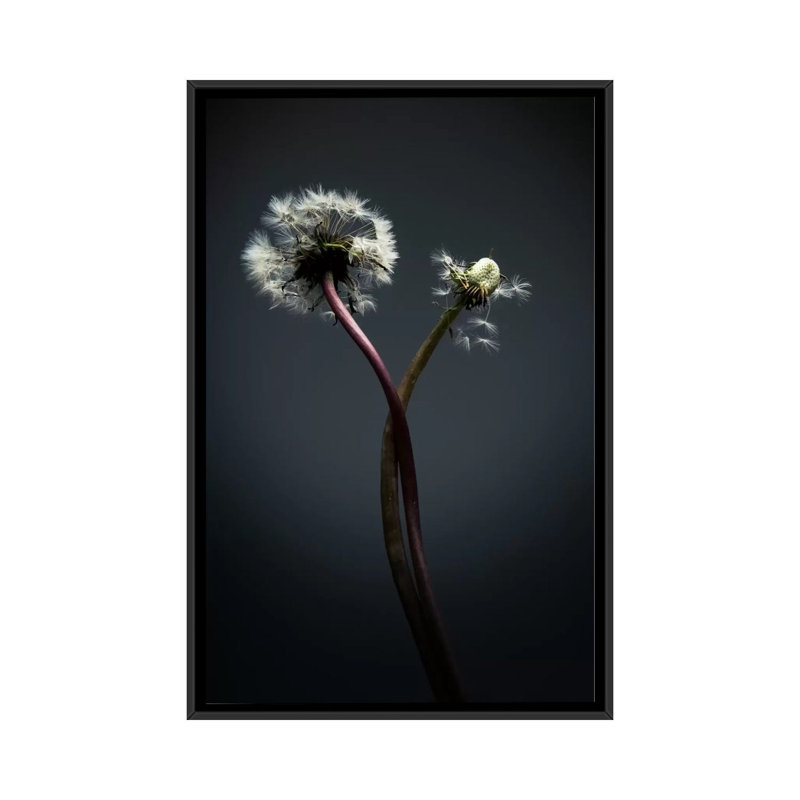 «Tw torsé», impression sur toile, H 26 po x l 18 po x P 1,5 po, Toile avec cadre noir, Pas de tapis