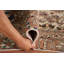 Tapis floral rétro 6 x 11