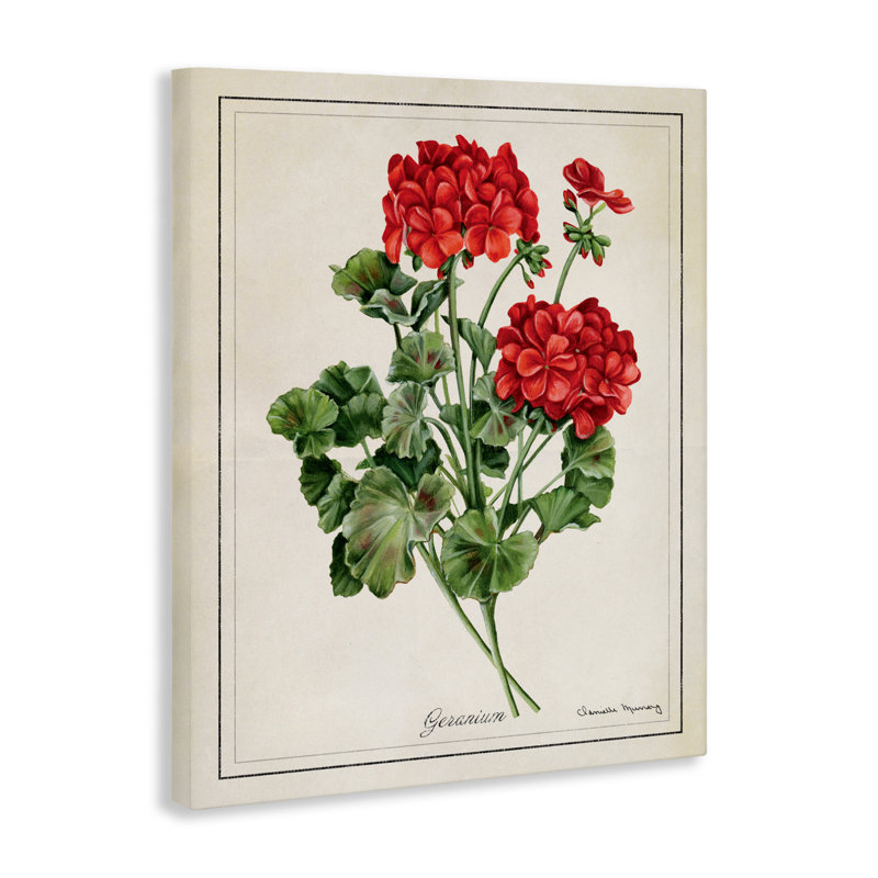 «Vivid Red Geranium Blossoms», art mural par Danielle Murray, H 36 po x l 48 po