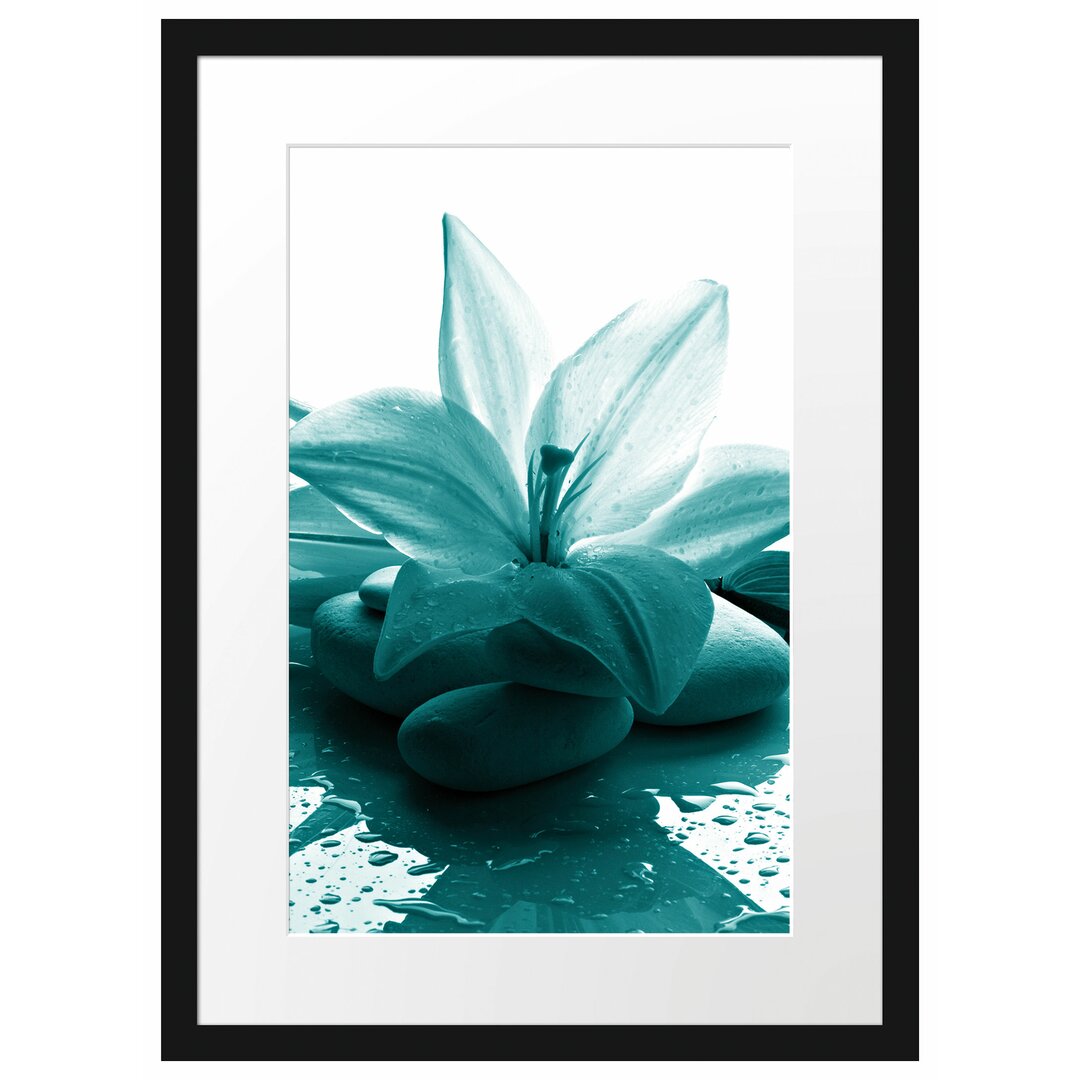 Gerahmtes Poster Blaue Lilie und Tulpe