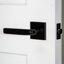 Viaggio Circolo Rosette Double Dummy-391889737-384008908-324609182