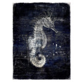 Caballito De Mar Print