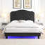 Bouton de lit rembourré capitonné avec un design incurvé - Support en lattes de bois massif - Assemblage facile - Velours noir - Avec lit plateforme à DEL - Grand-1906849887