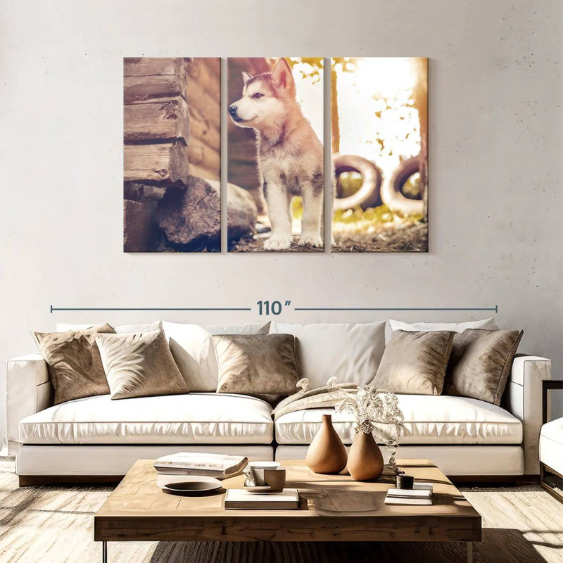Adorable Alaskan Malamute, 48" H x 74" W