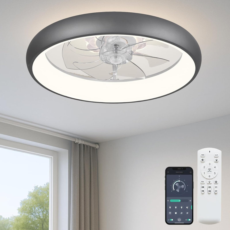 Ceiling Fan With Light