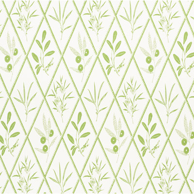 Schumacher x Charlap Hyman & Herrero Endimione Fabric