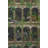Multi-Coloured Zoo Concept Tiger, Elephant, and Vine Patterned Modern Decorative Rug-1141405672